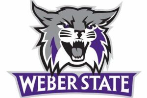 Weber State (and others) Cabochon and Silver Sale, Wed Jan 8 at 5:30pm (hosted by Rene in the south end of the store, prices vary)