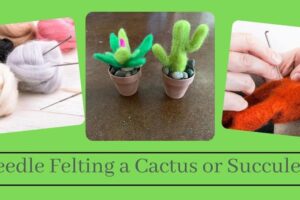 Needle Felting A Cactus Or Succulent On April 6th From 1:00 To 3:00 (Taught By Stephanie, Classroom A And B, $29)