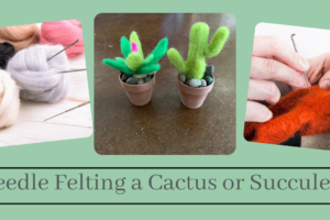 Felted Succulents, Plants or Cactus Class on April 29th from 6:00 to 8:00 (Taught by Stephanie, Classroom, $29)