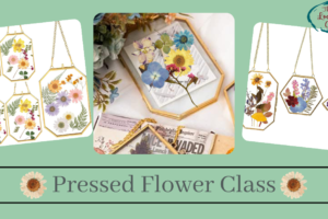 Pressed Flower Class on June 28th from 12:00 to 2:00 (Taught by Stephanie, Classroom A and B, $39)