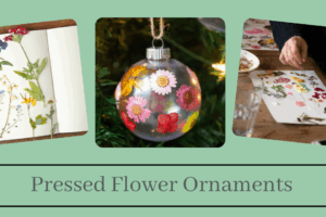 Pressed Flowers Ornaments Class on November 14th from 12:00 to 7:00 (Taught by Stephanie, Classroom, $15)