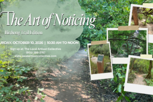 The Art of Noticing: Birdsong Trail Edition, October 10th from 10:30am to Noon (Taught by KC, Birdsong Trail, $16) Adults and Teens