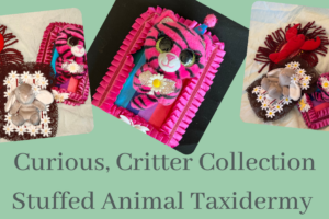 Creative Critter Collection & Stuffed Animal Taxidermy You on September 12th from :00 to 7:00pm (Taught by Stephanie, Classroom, $35)